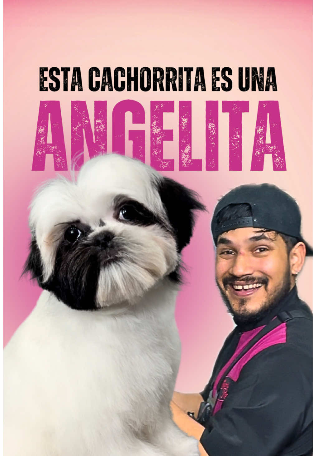 @VICTOR THE GROOMER