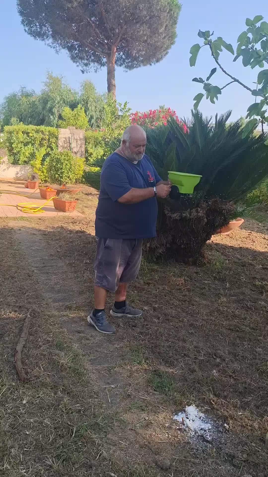 @Armando Zagaria