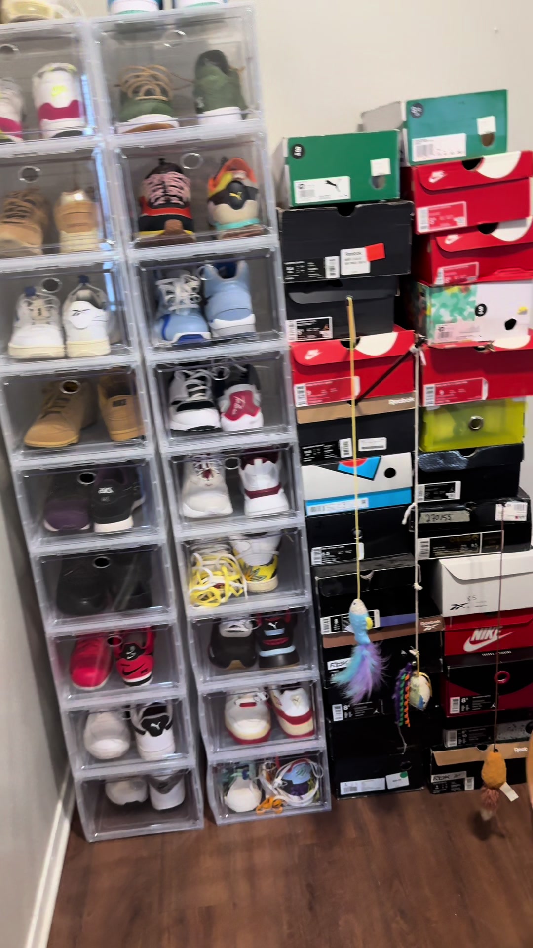 @The Shoenobi