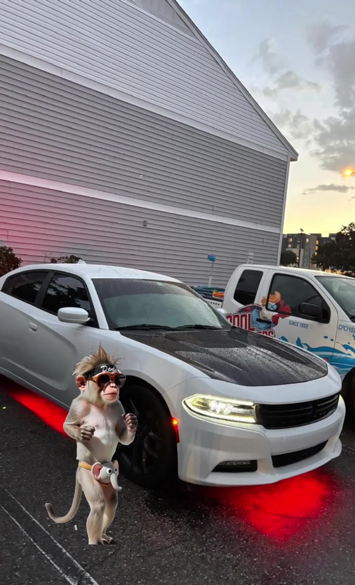 @Zaul.RzBx
