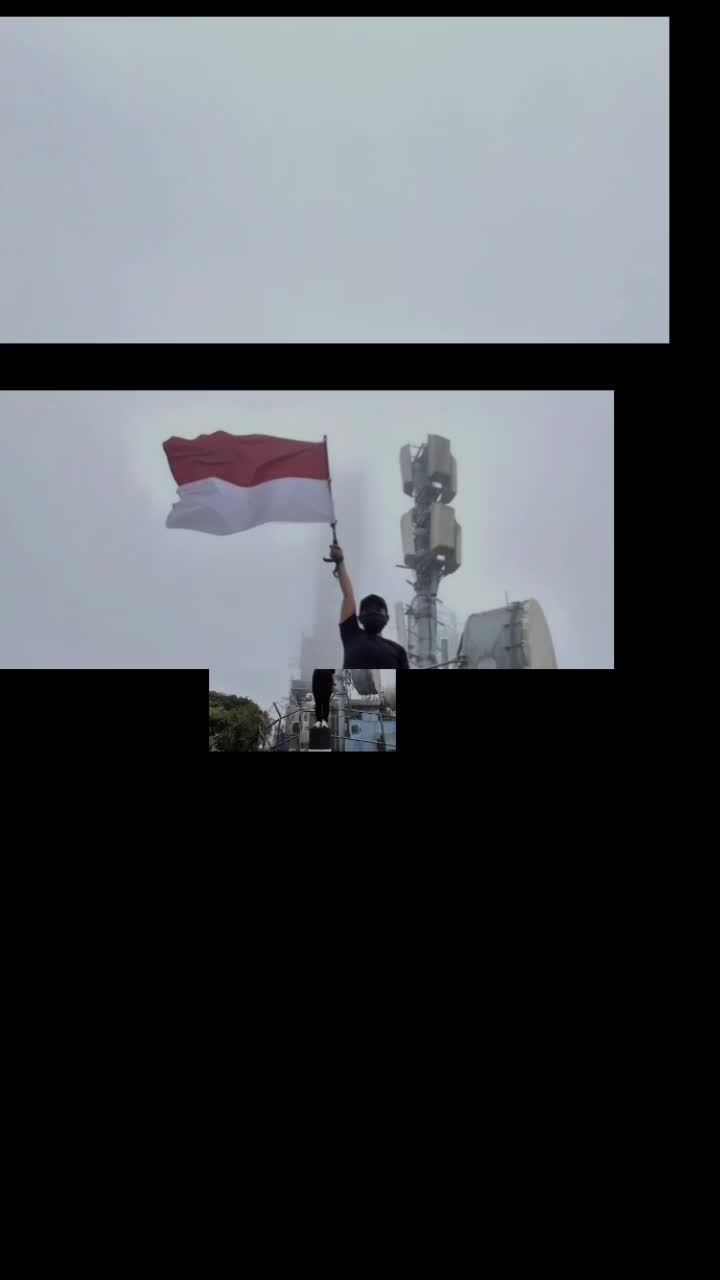 @@ Yank Utini 81