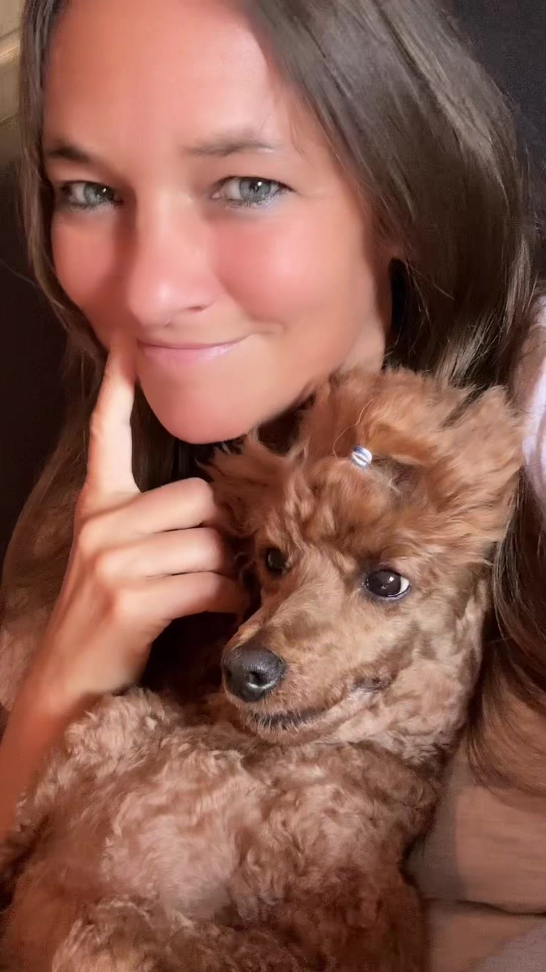 @Bine.poodle