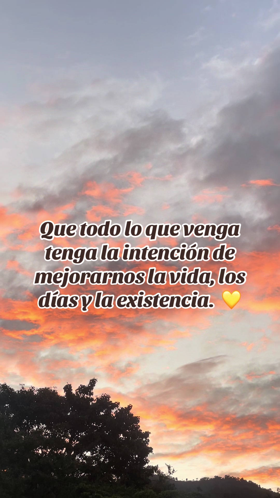 @Tefa Lopez