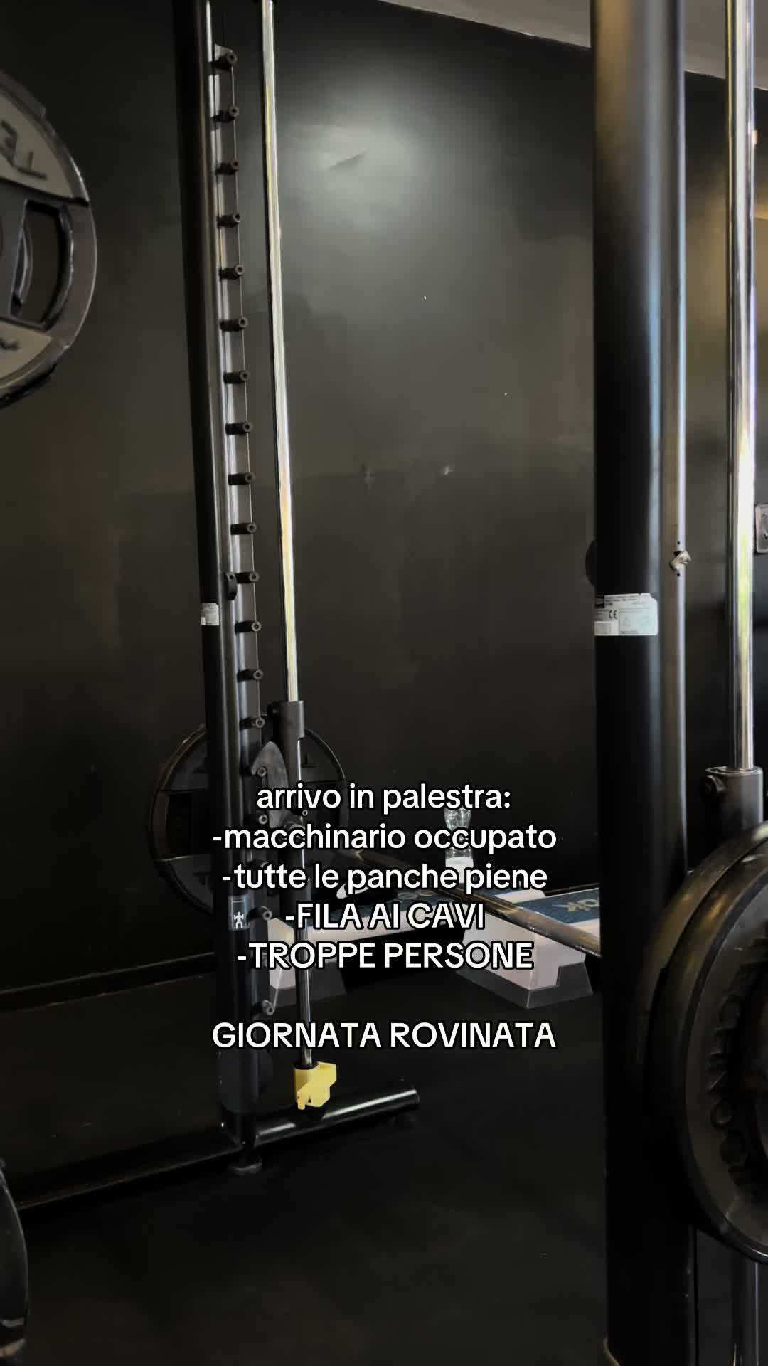 @Nicholas Ippoliti