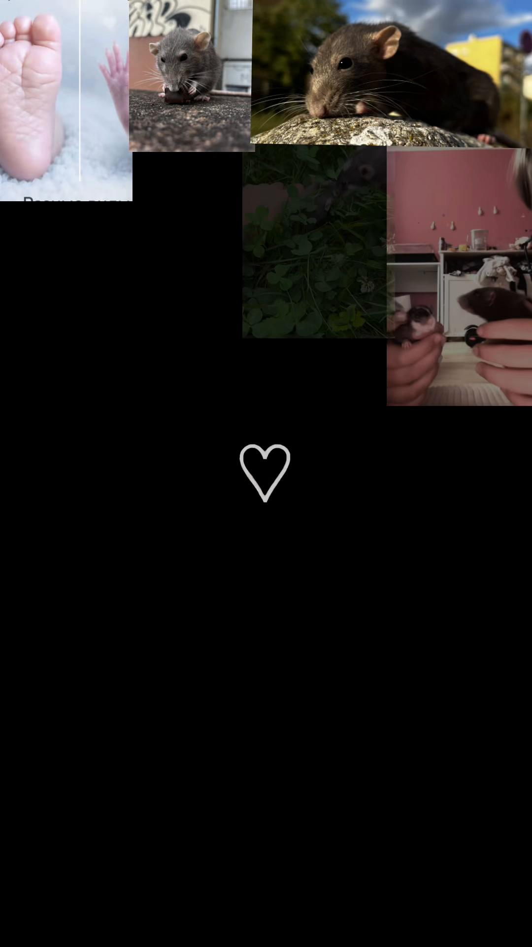 @Milena