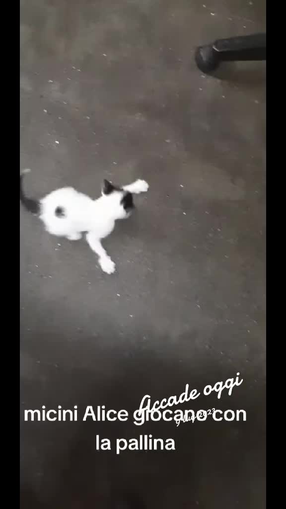 @Angelo