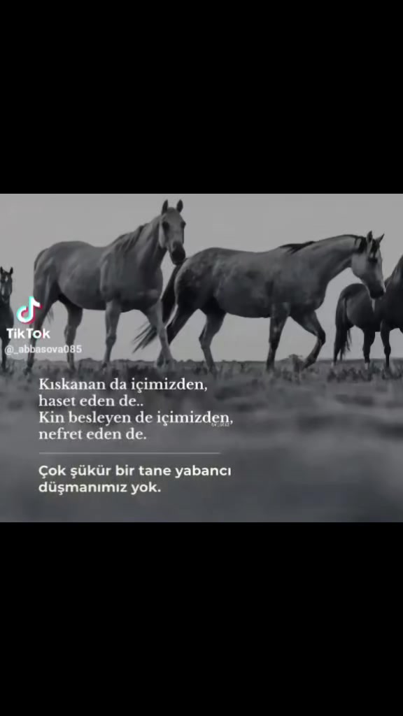 @Yiğit Esra Deniz💎