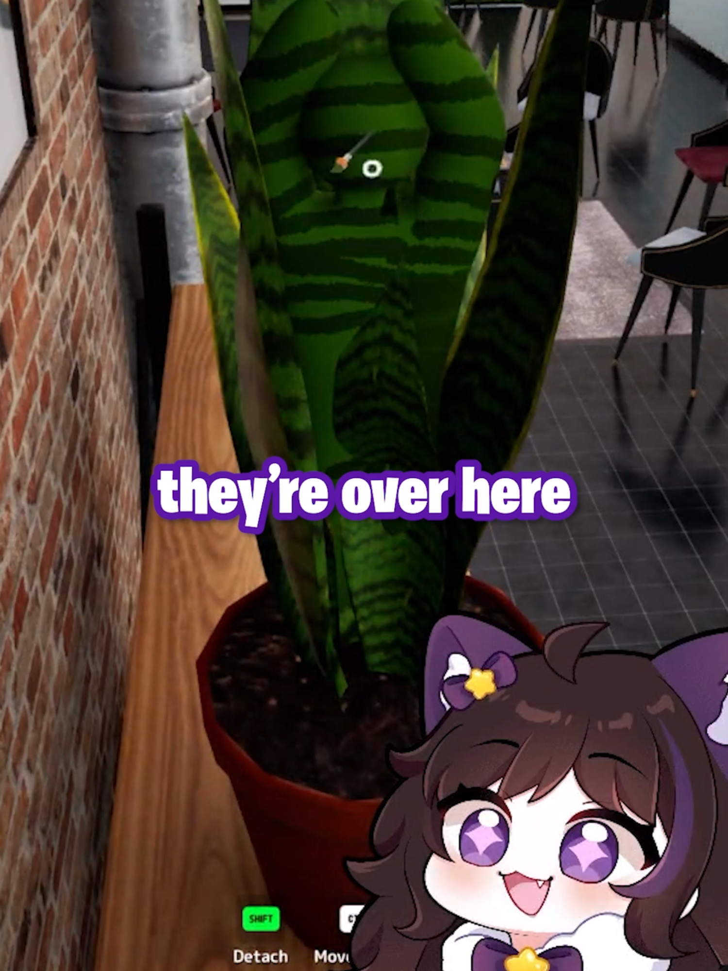 @Kitdy