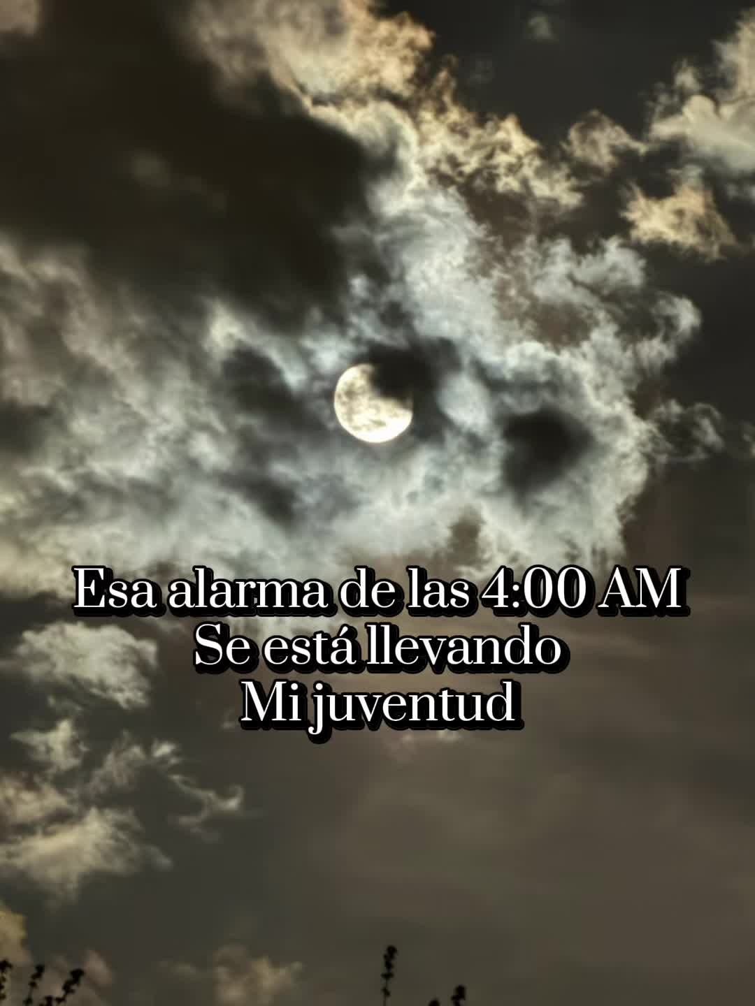 @Viridiana Cegueda