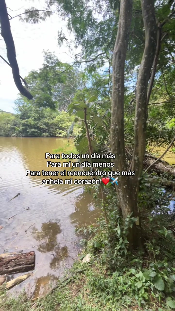 @Lizeth