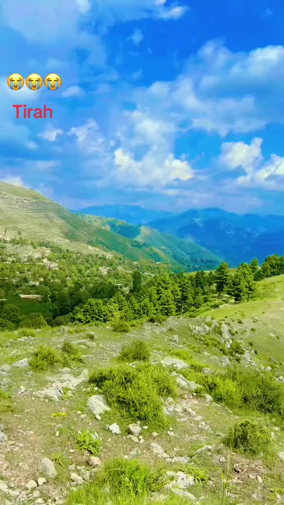 @༄●⃝AFRIDI☯࿐