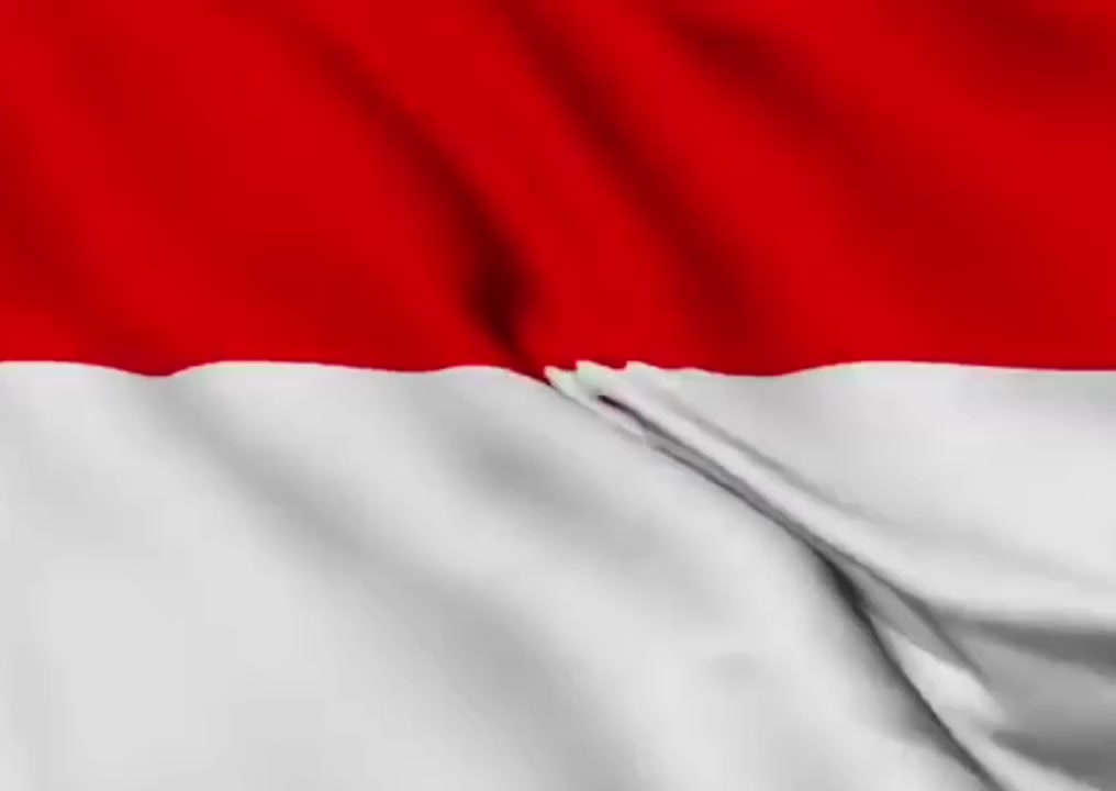 @asligarut___