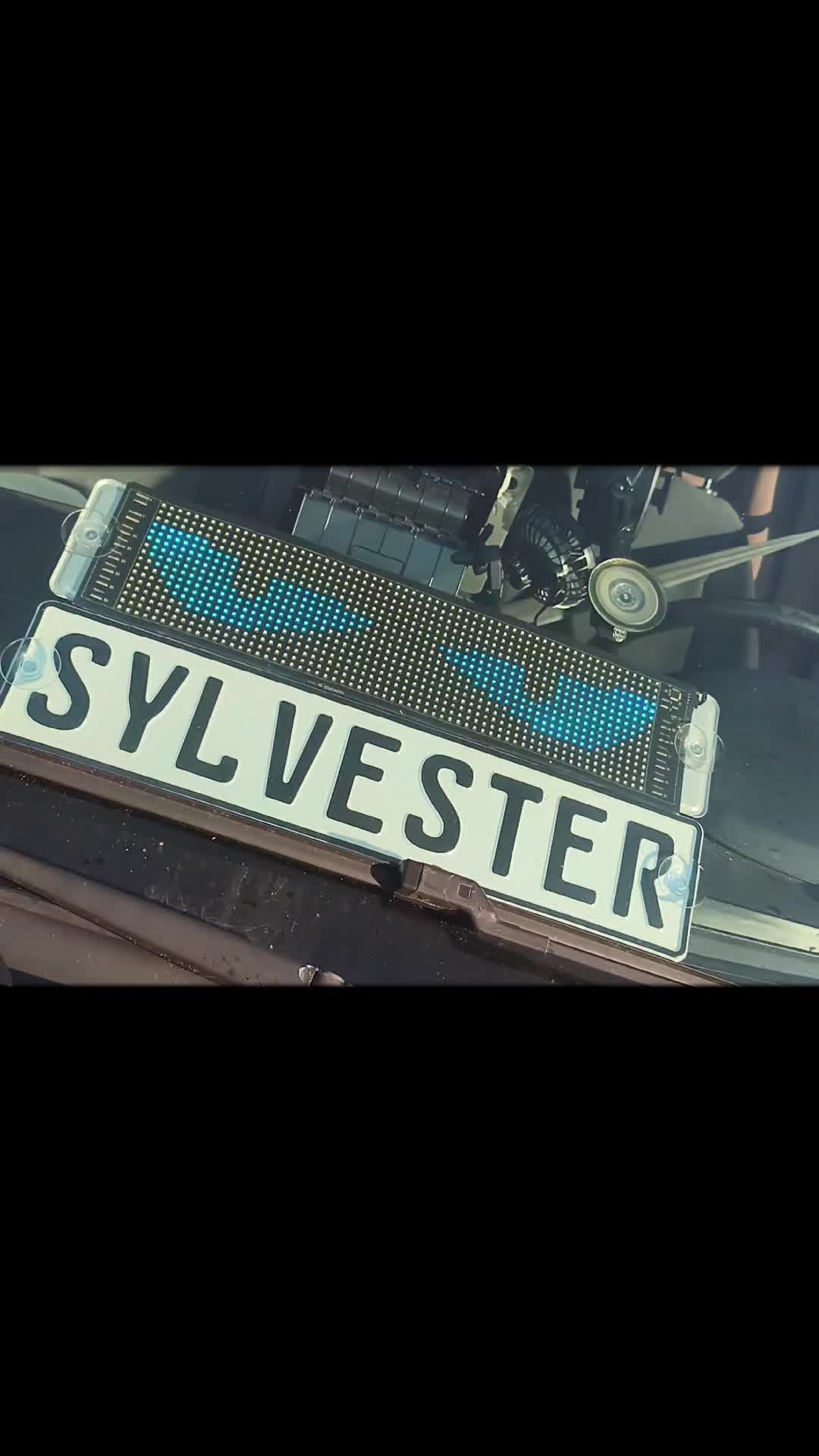 @bf3Sylvester