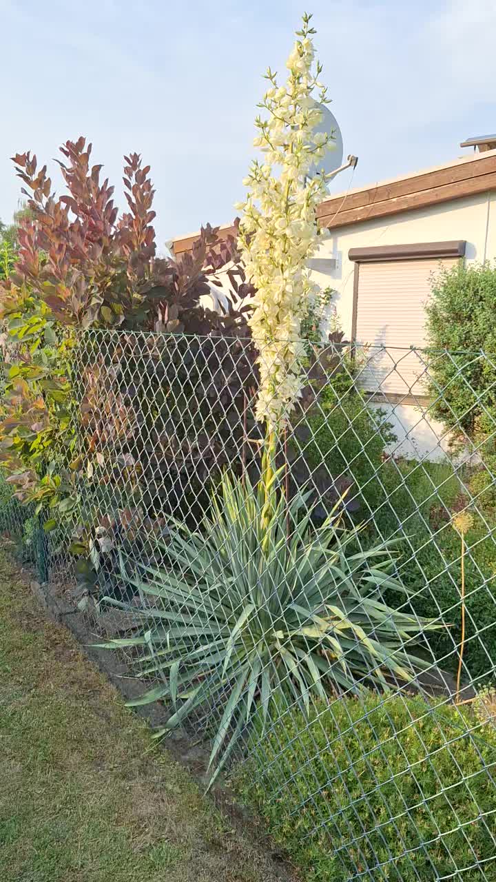 @Natur und Garten