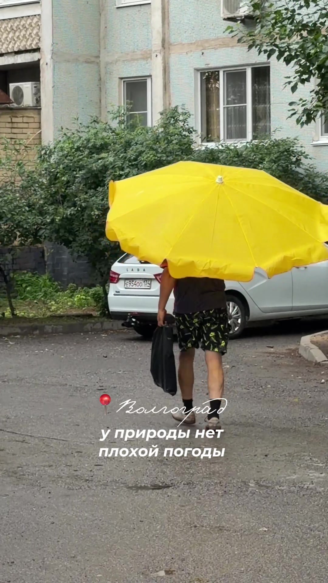 @Лизавета