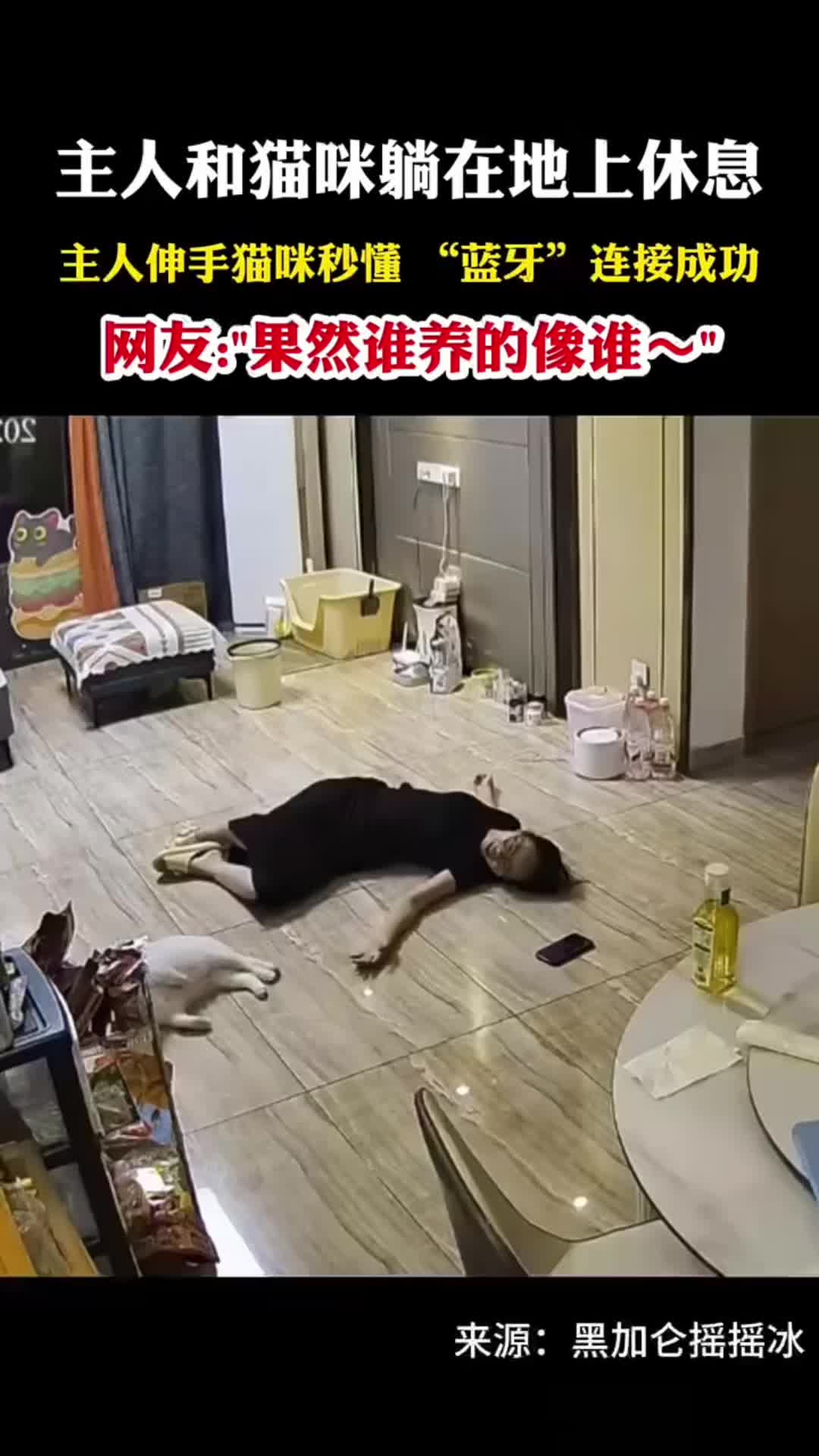 @中国蓝国际