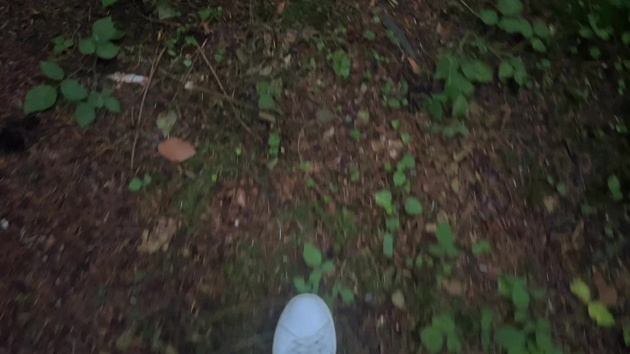 @🌲1𝔰𝔥𝔢𝔱𝔰1🌲