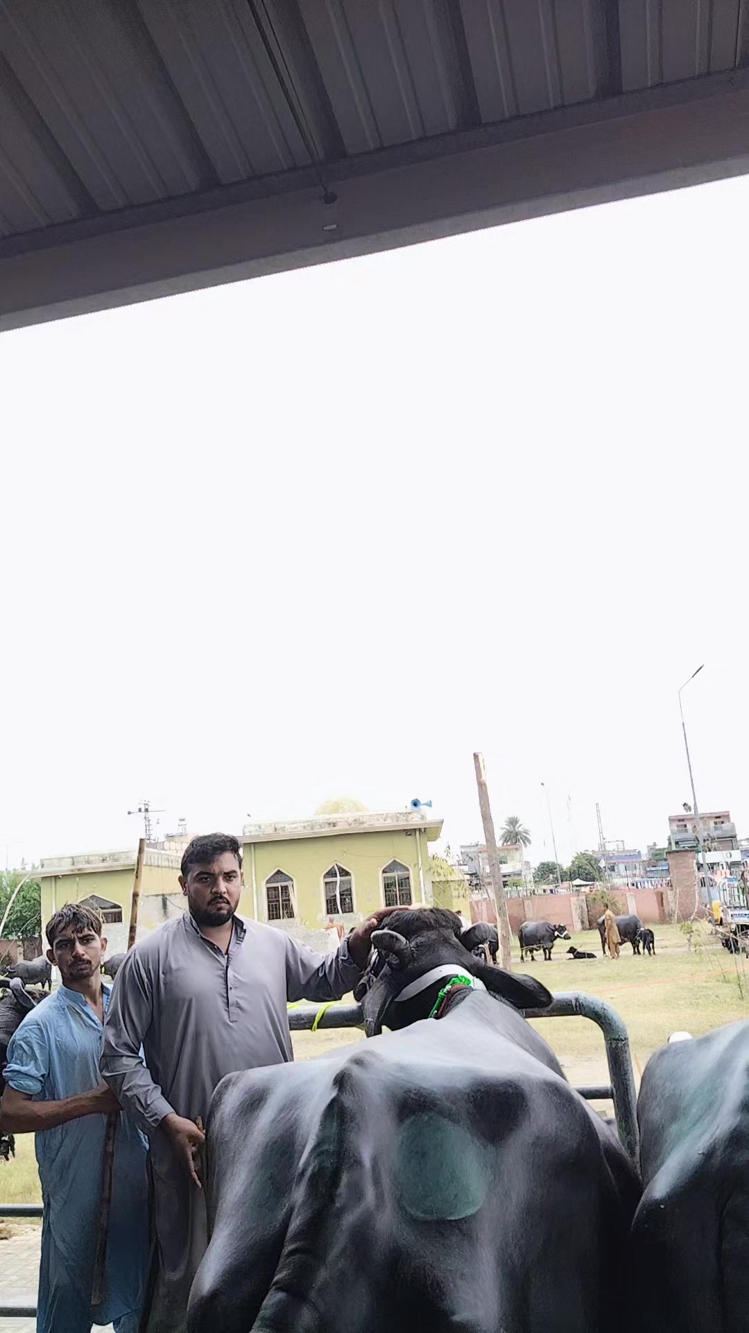 @💖🐄یوسف خان گوندل الہ 💖🐄