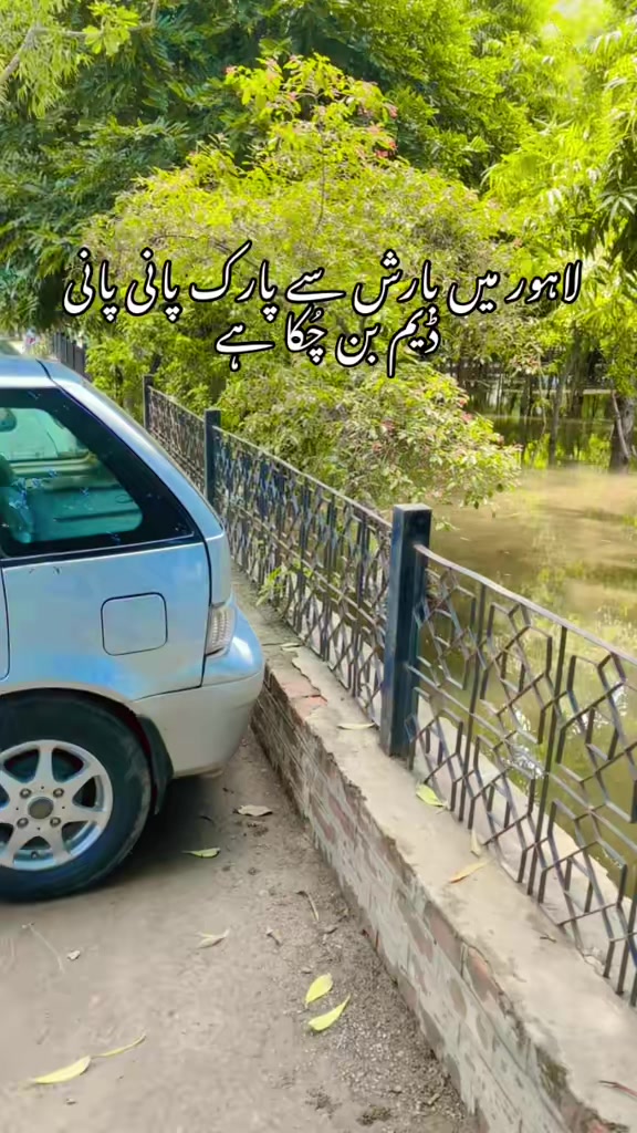 @hasnain.jafar.arain