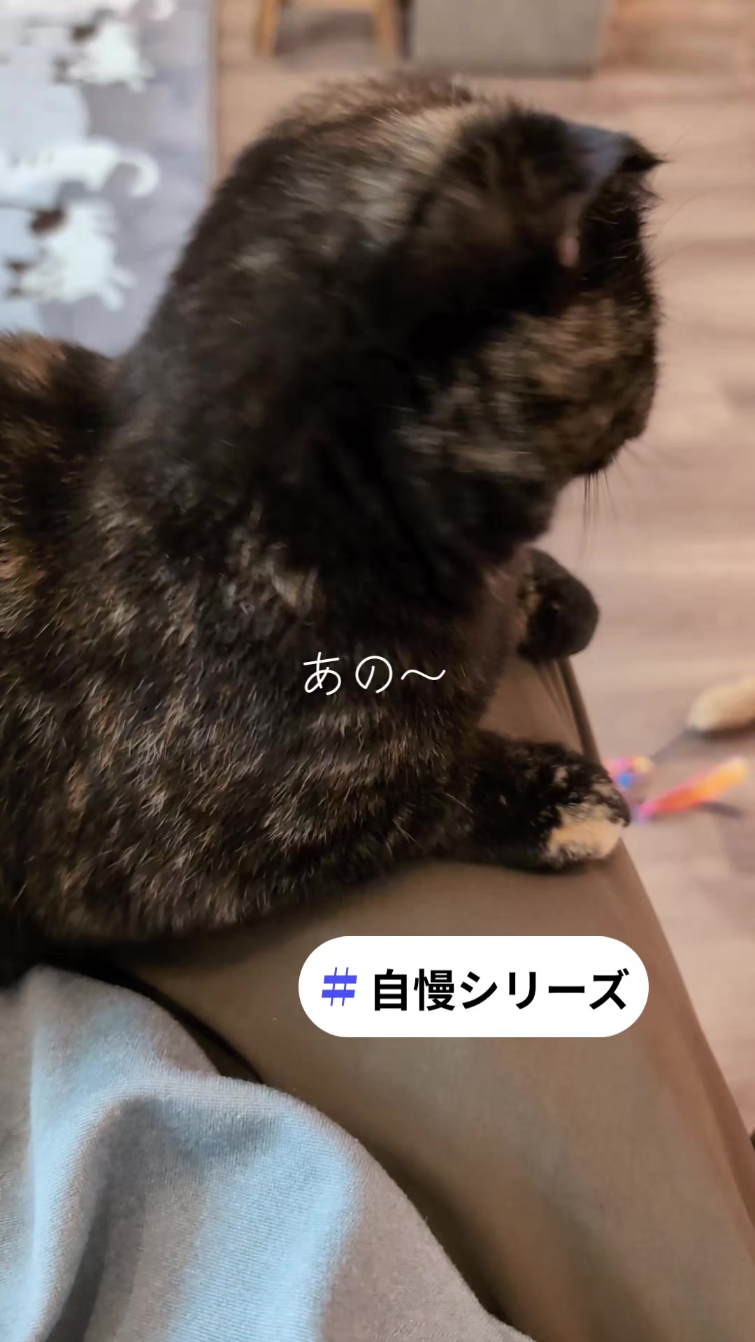 @りょうた
