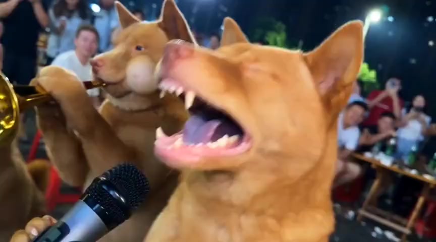 @晃晃悠悠