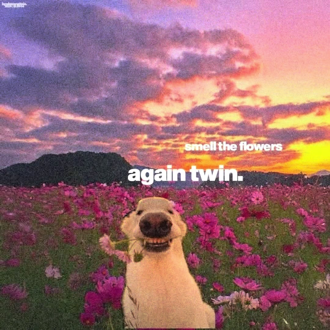@๐๐ฉ๐ฐ๐ณ๐ง๐ช๐ฏ๐ค๐ฐ๐ณ๐ฆ