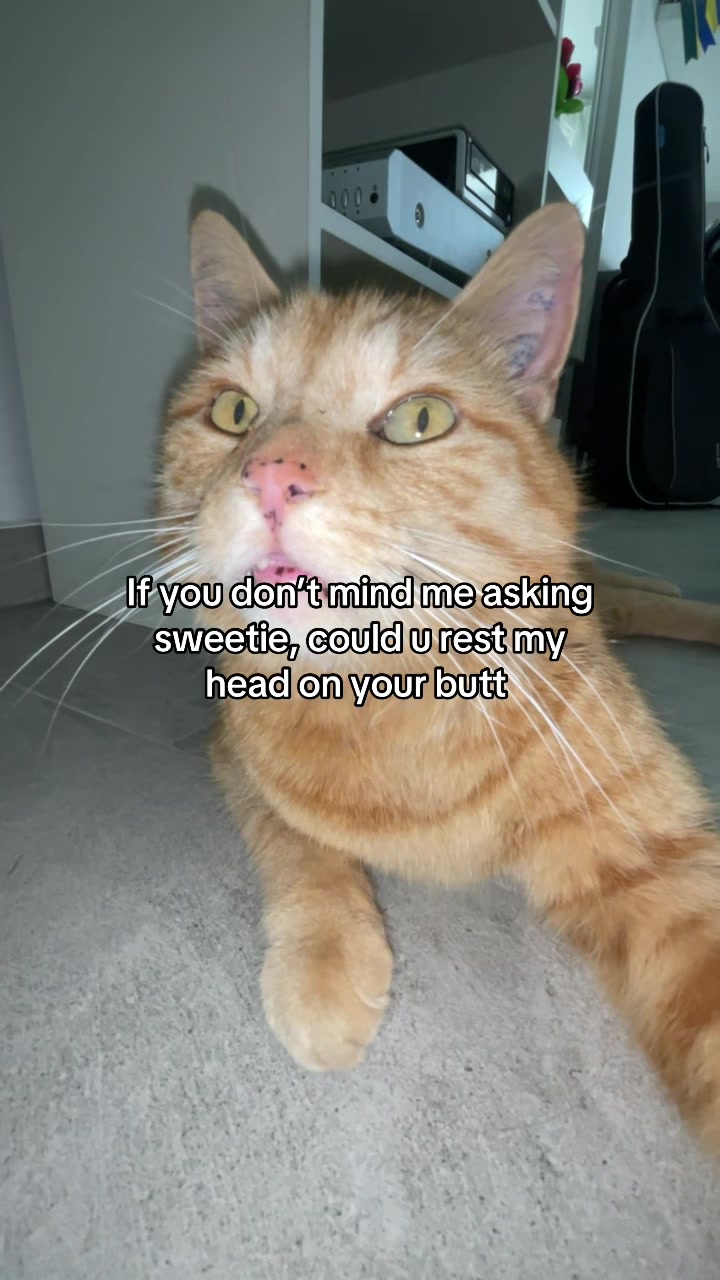 @Simba
