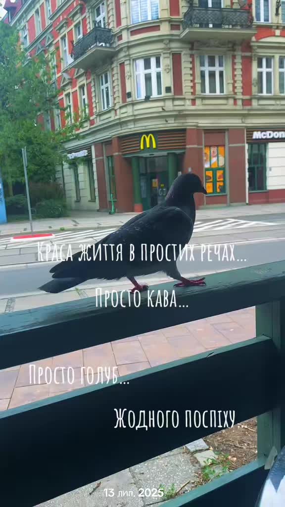 @Mila.Mila🕊️🇺🇦