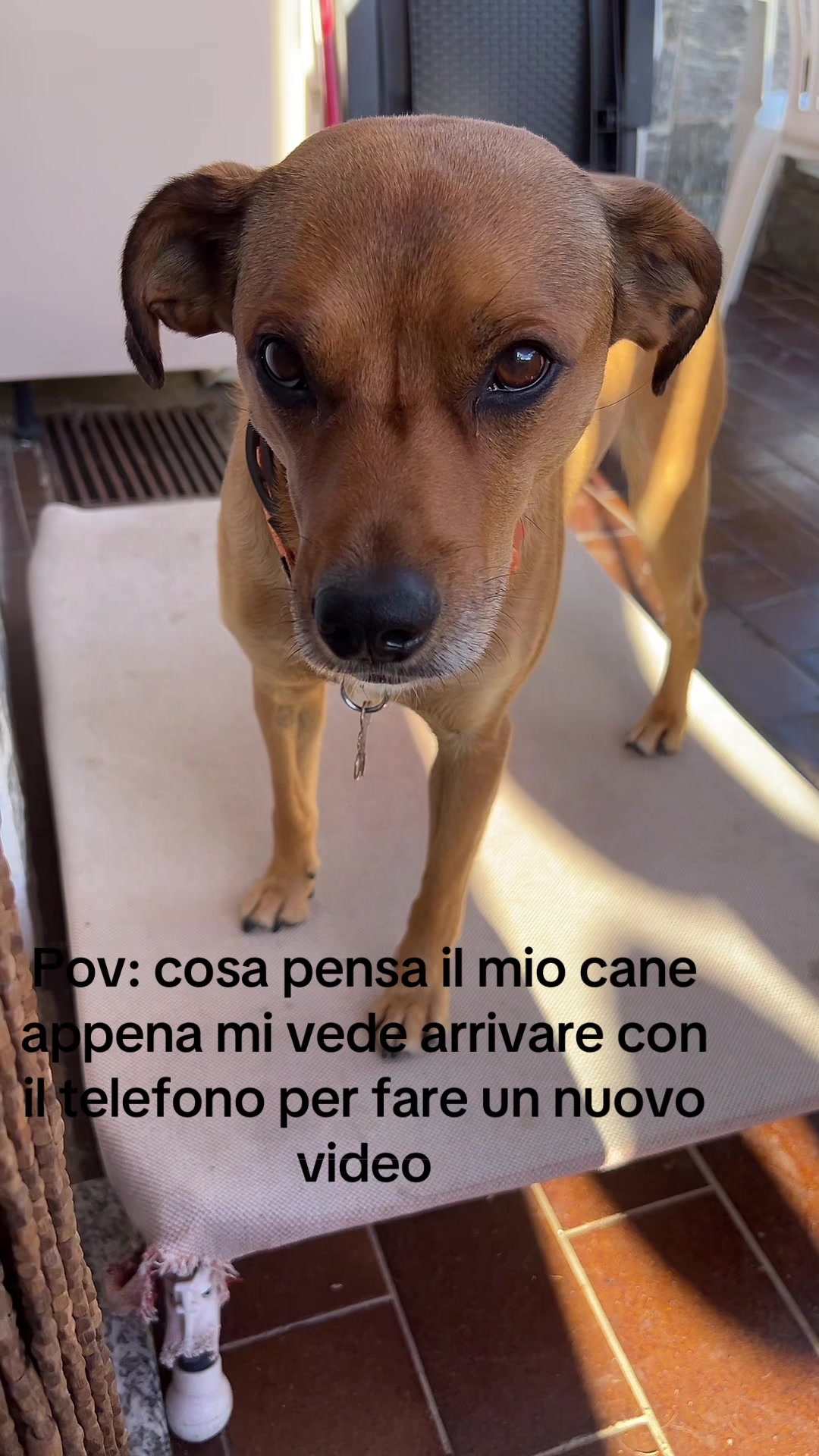 @Stefano