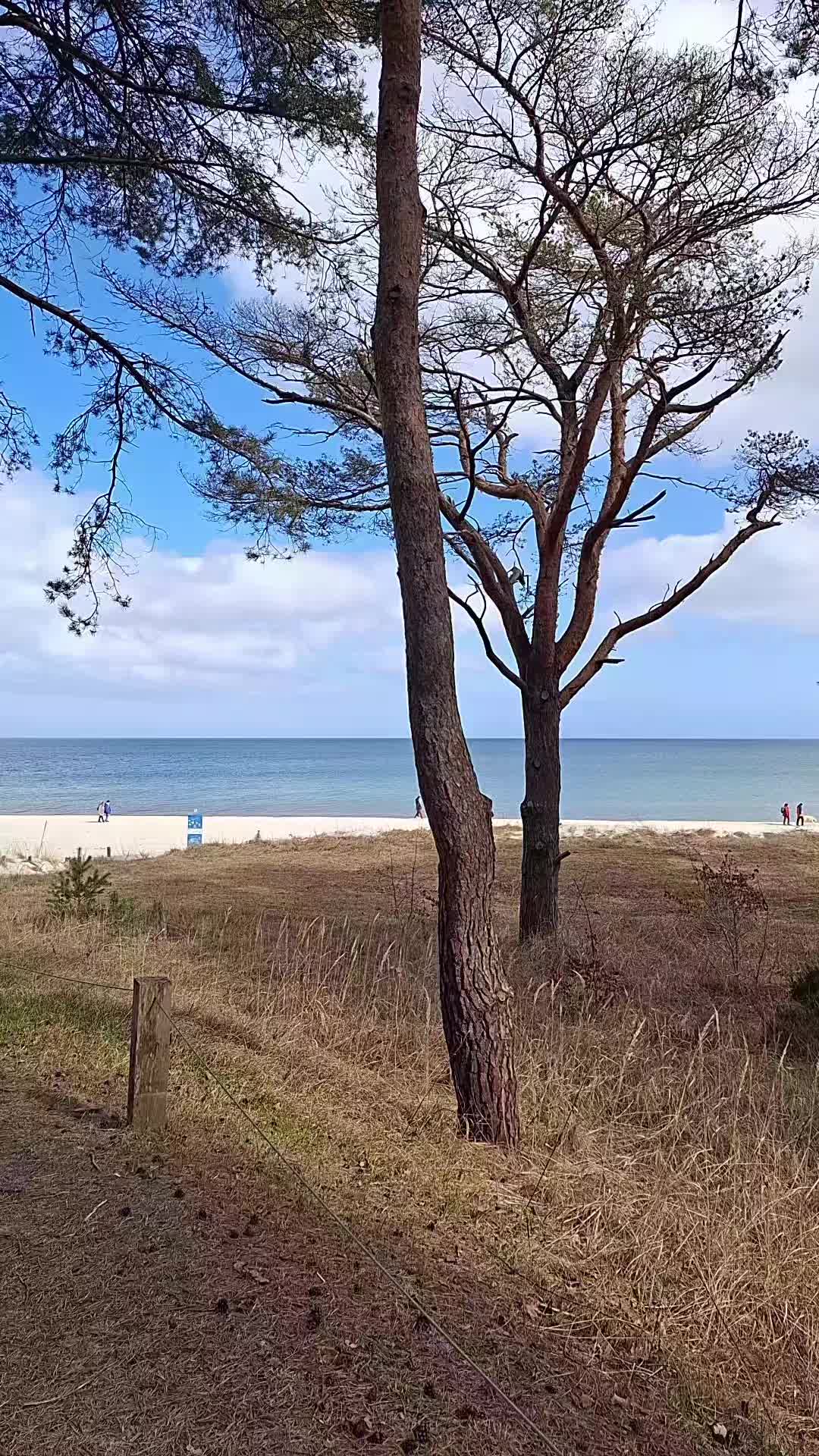 @Ostseeperle Rügen