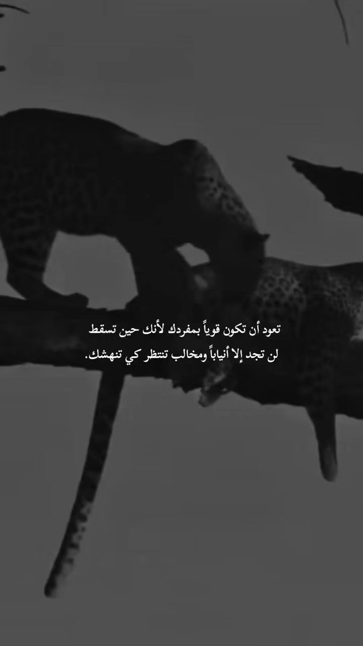@الباشا   🚬