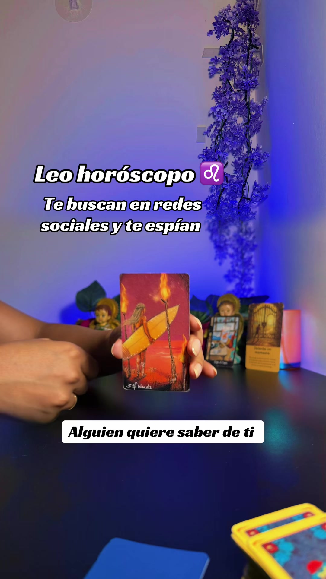 @camitarot77