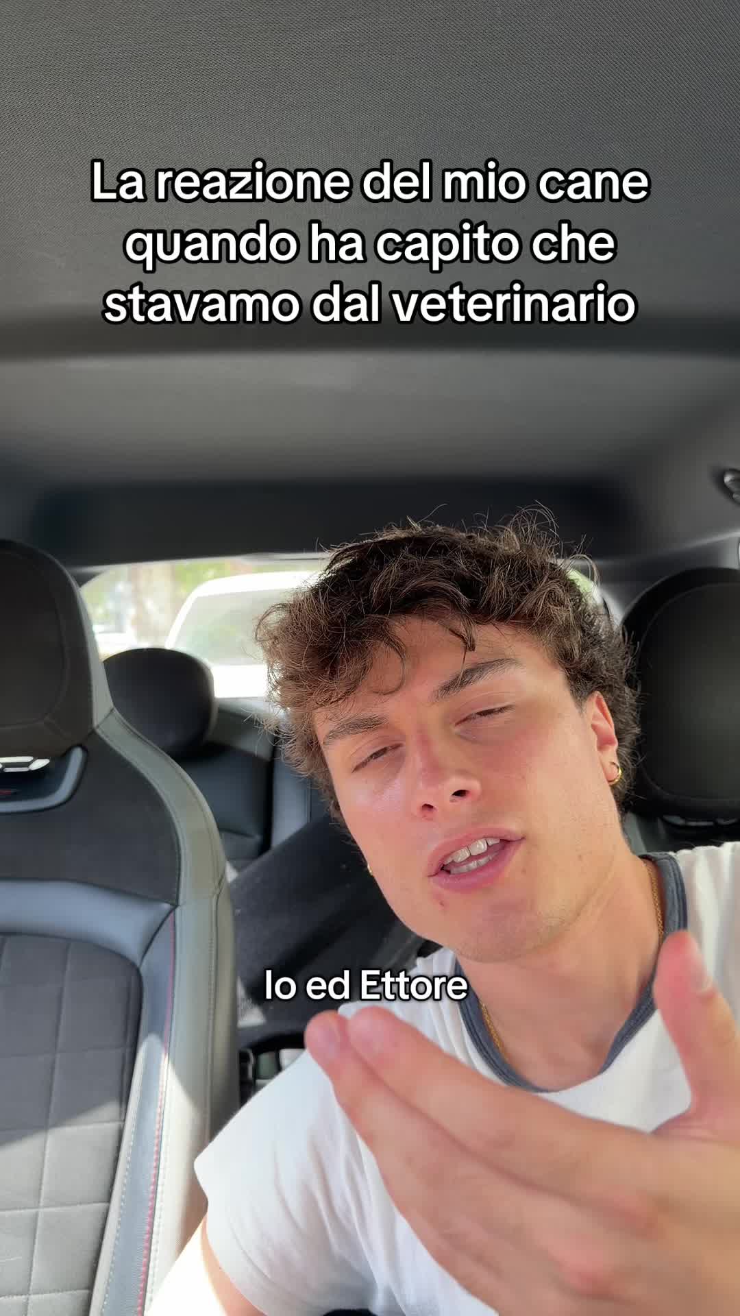 @seltsamofficial