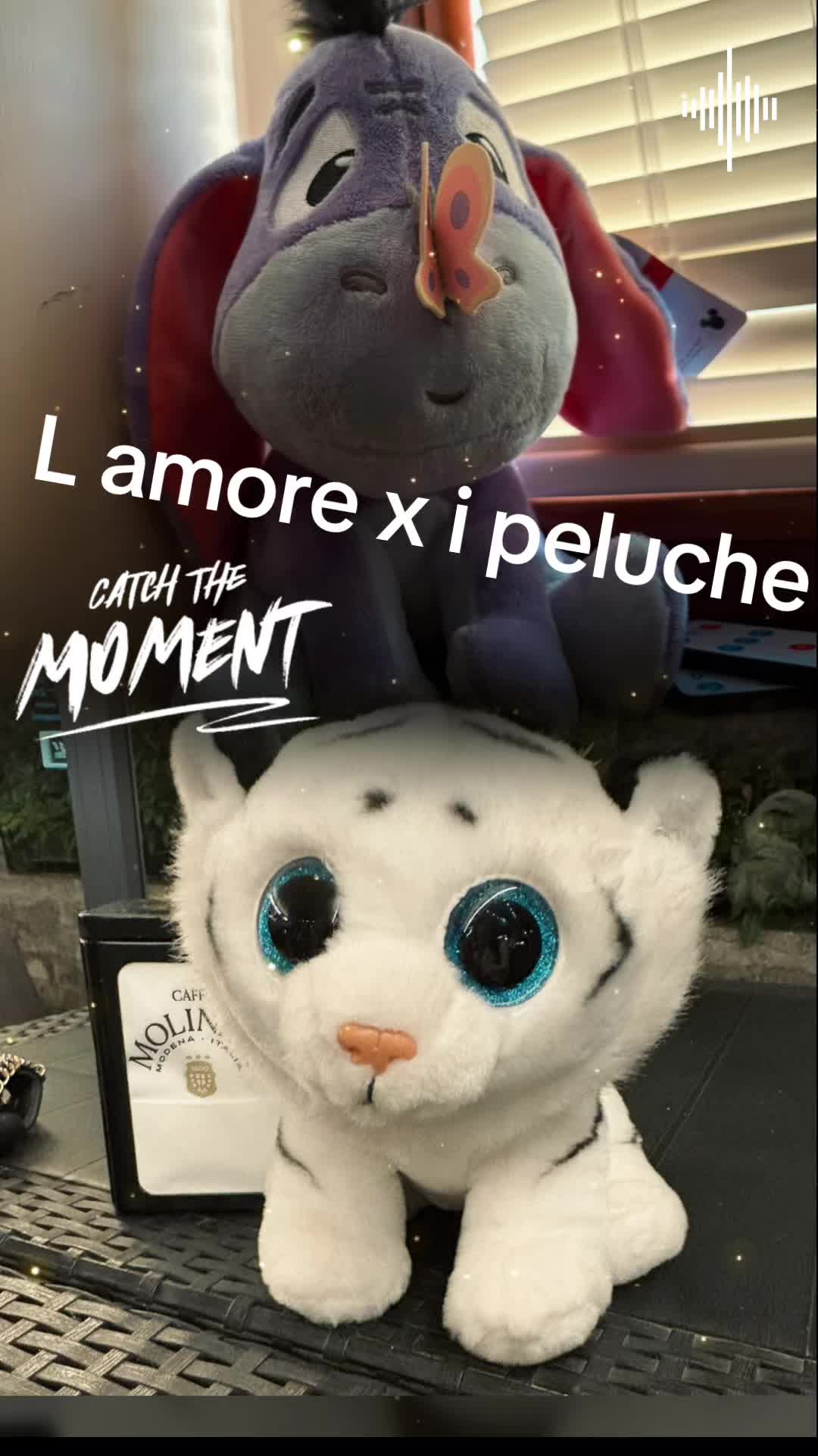 @Melania Tagliaferri