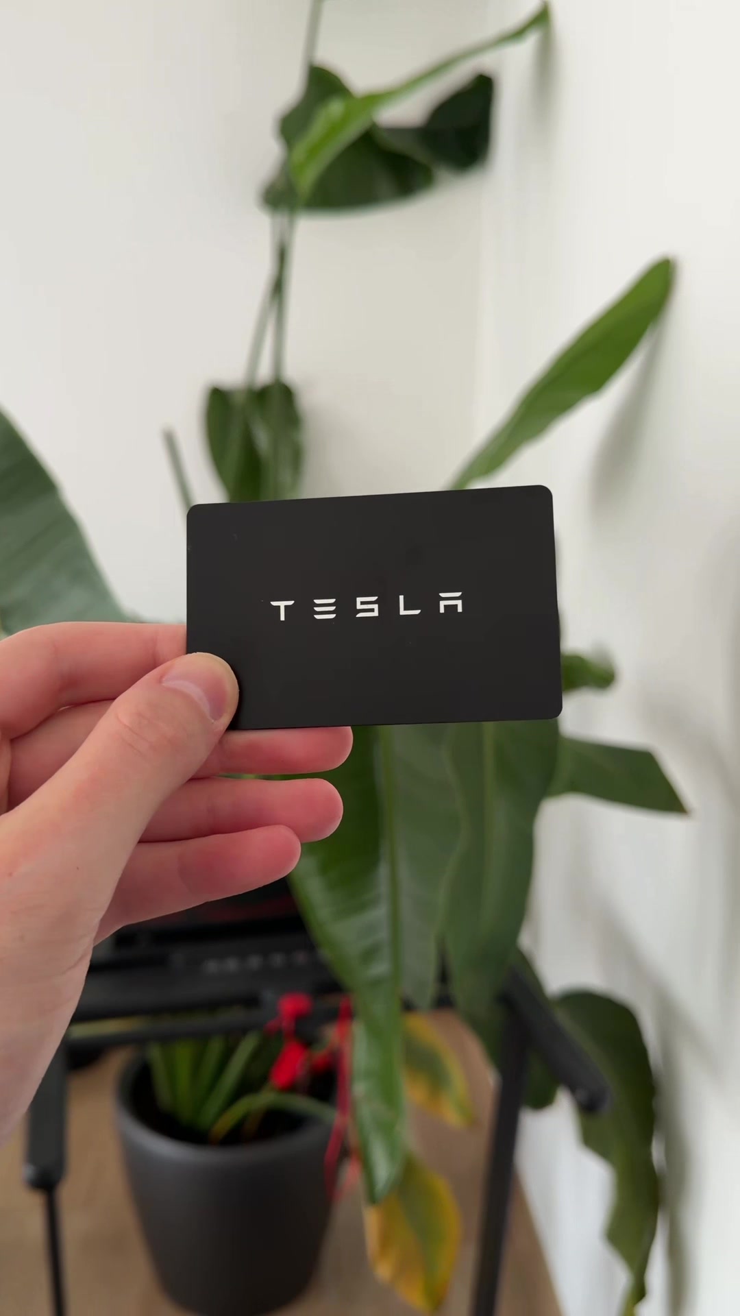 @Arnaud_Tesla