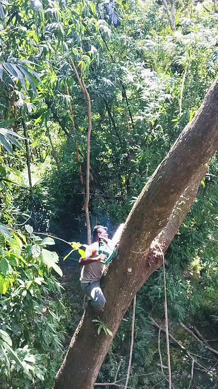 @যশোরের পোলা