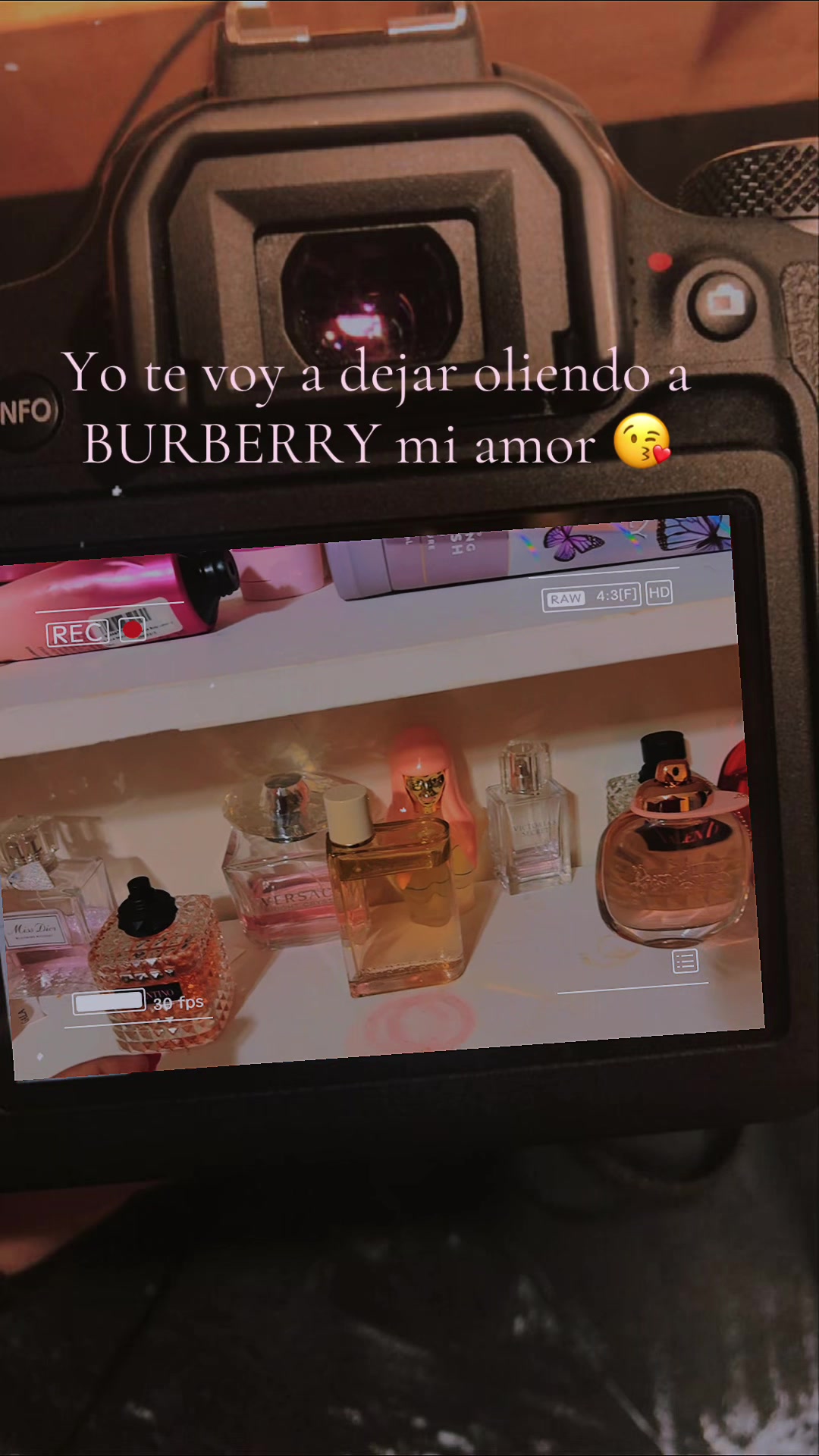 @🌸CARLA🌸