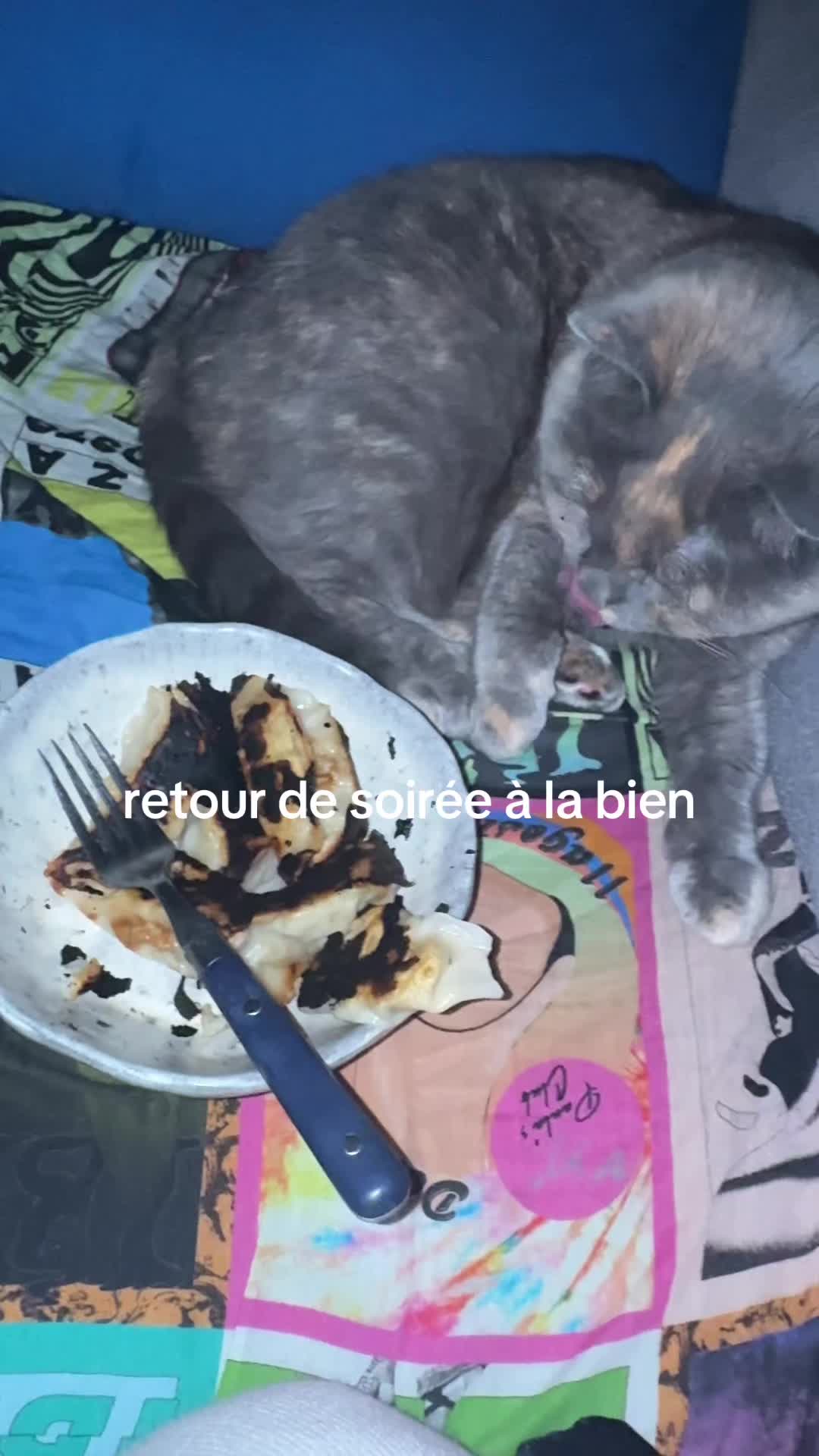 @milena le blanc
