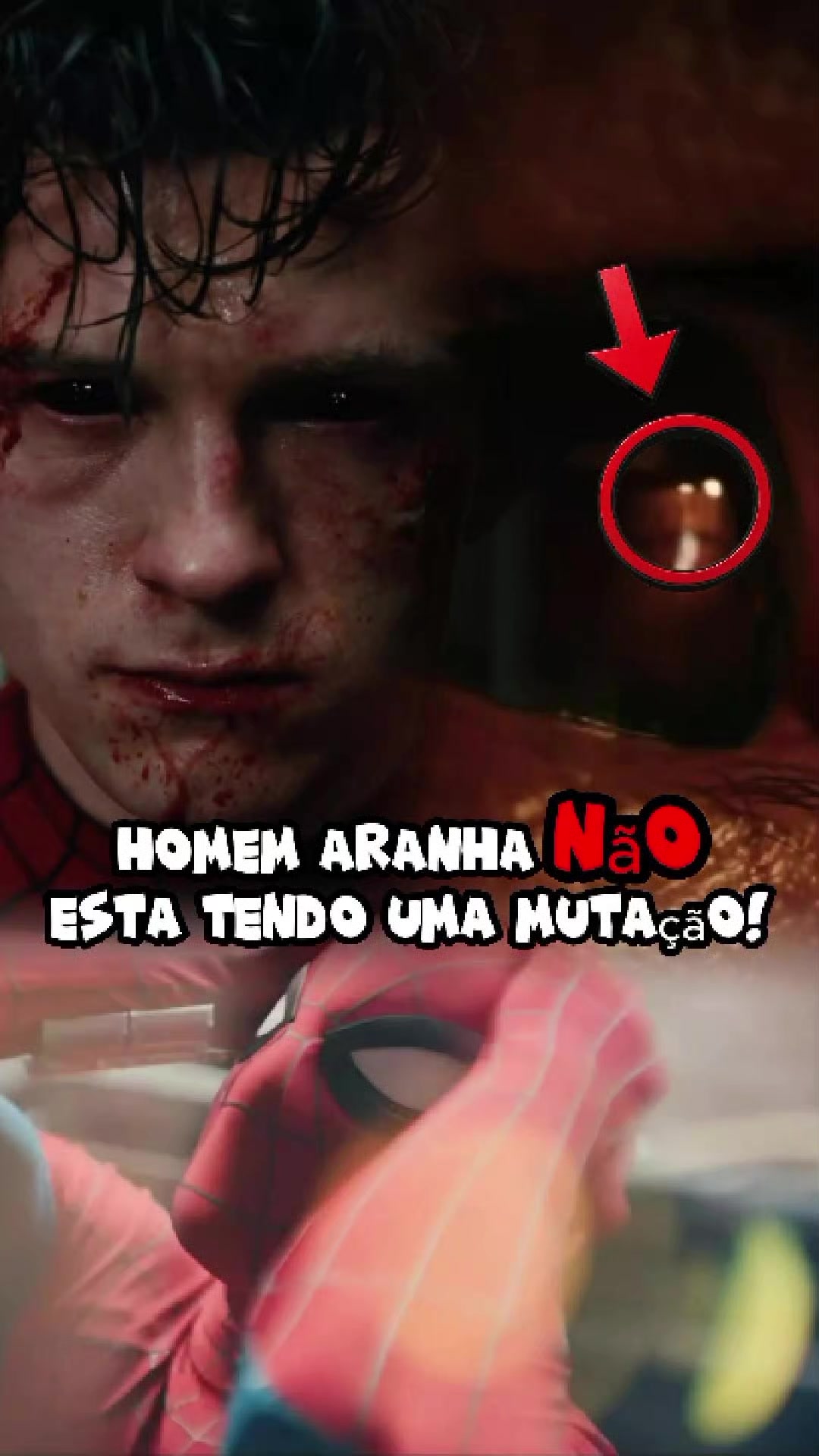 @Montanha_Geek