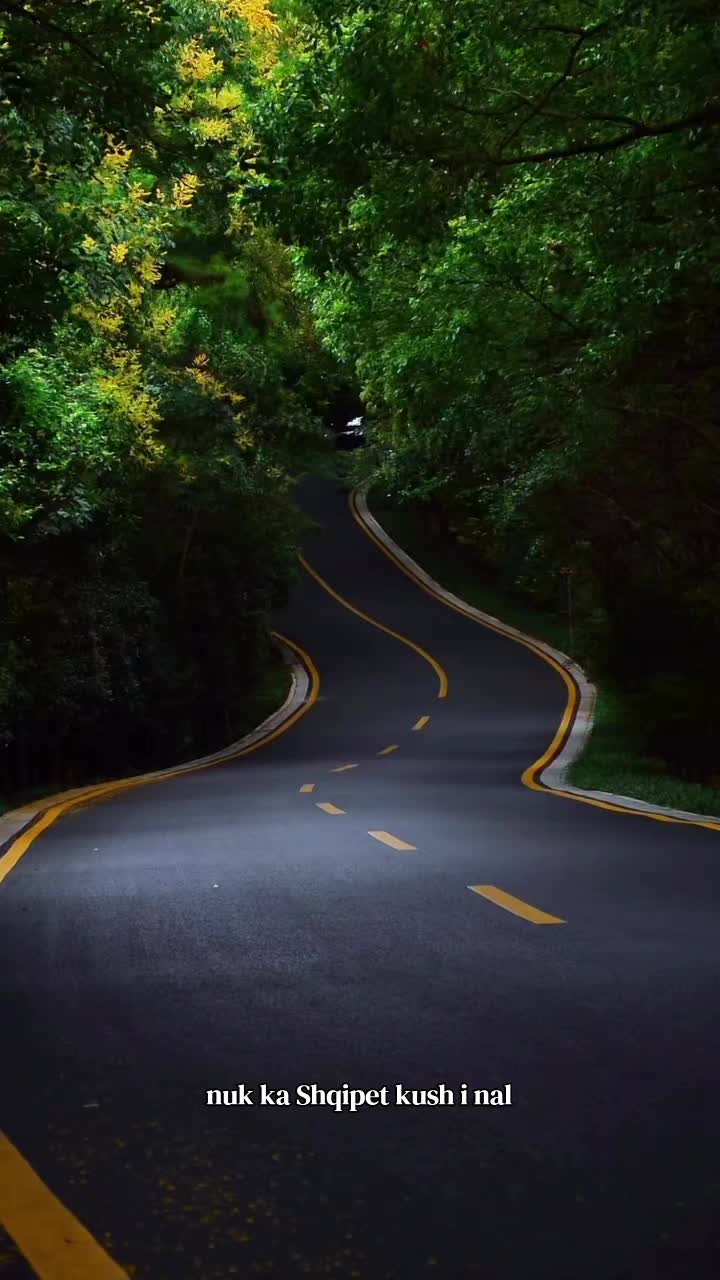 @𝐋𝐌𝐙