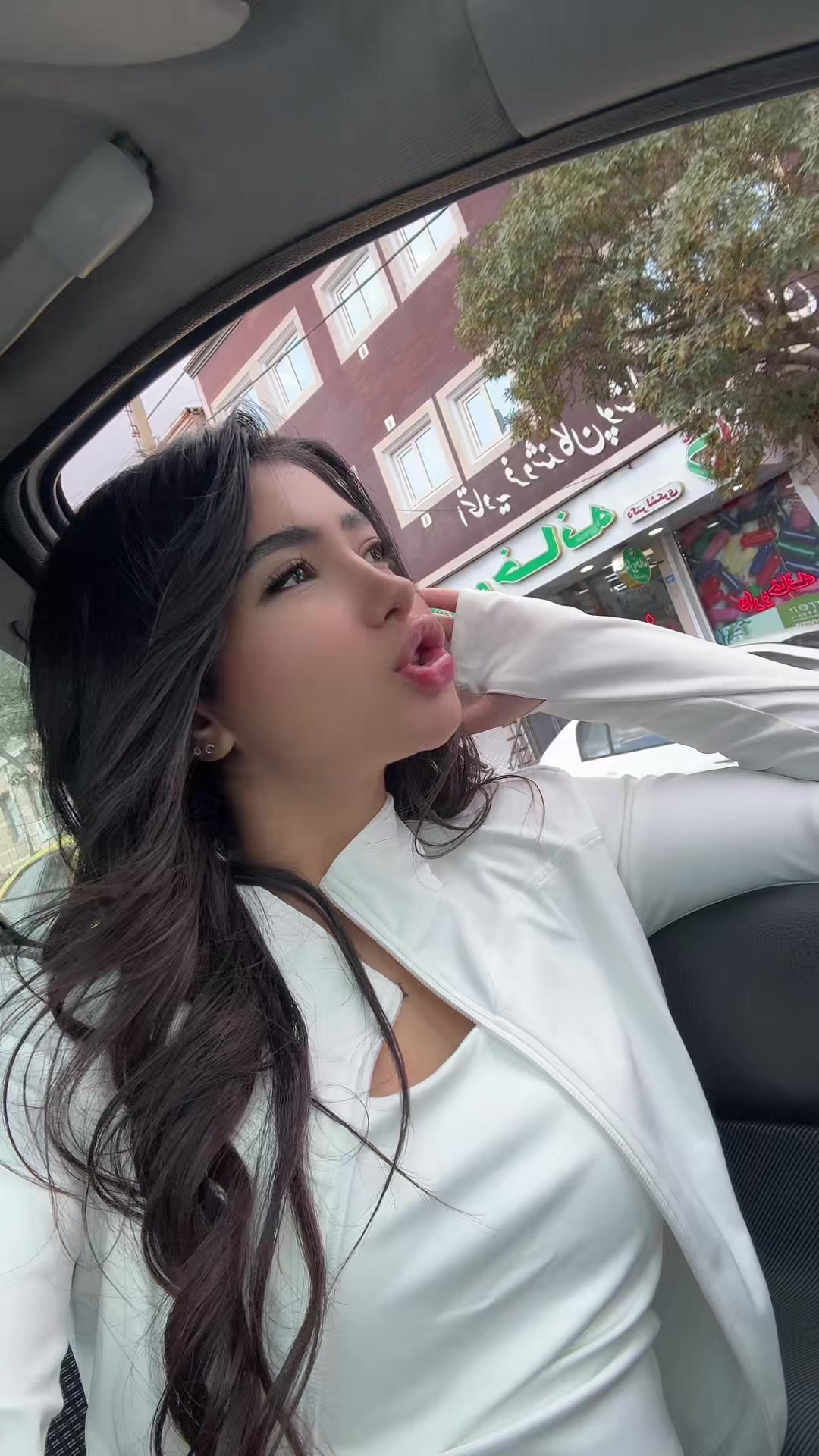 @farnushesmi