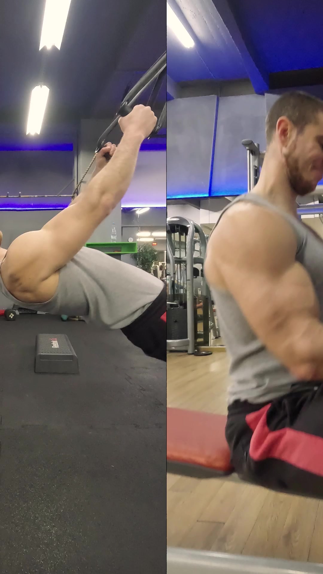 @gainzz