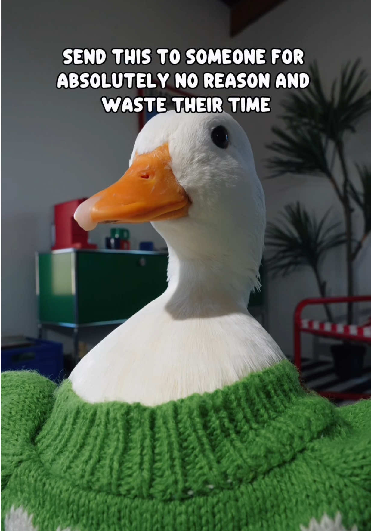 @ducks_in_space🪿🪿💦