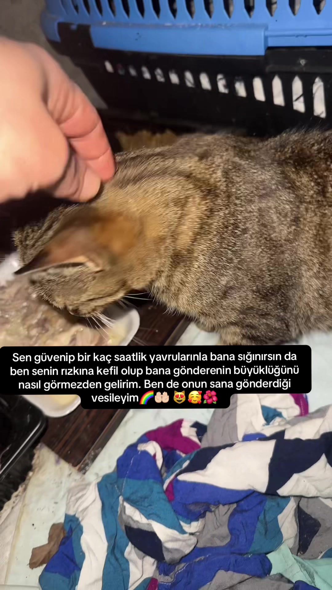 @Suzan❤️ 🐾 angel 😉