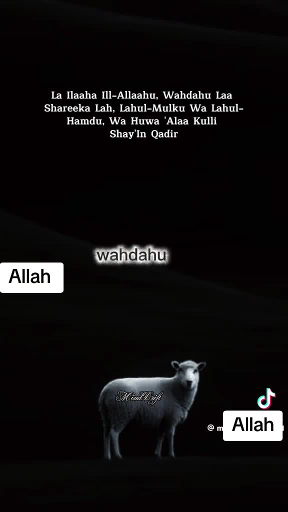 @Syeda Mujahid