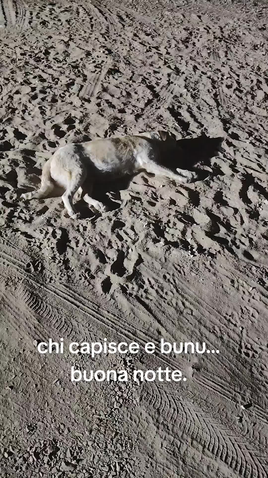 @Giovanni Costolone r