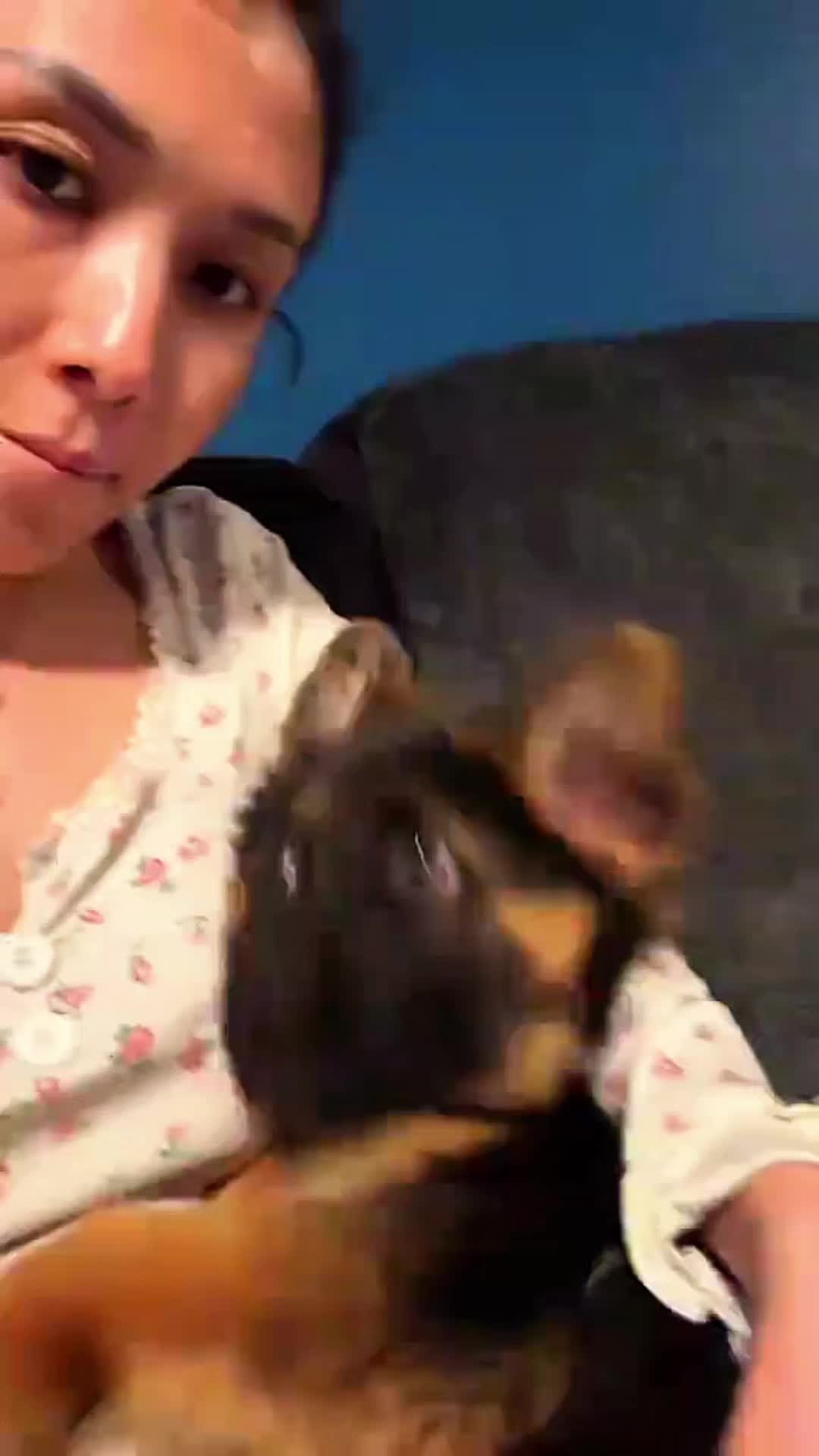 @Cute Pet ❤😘