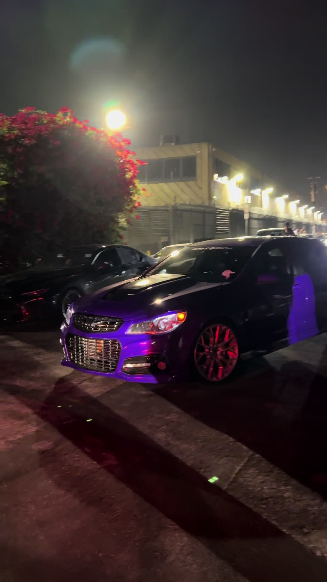 @Pineal.E85