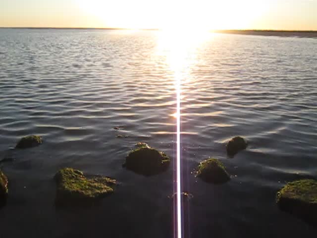 @ֶָ֢