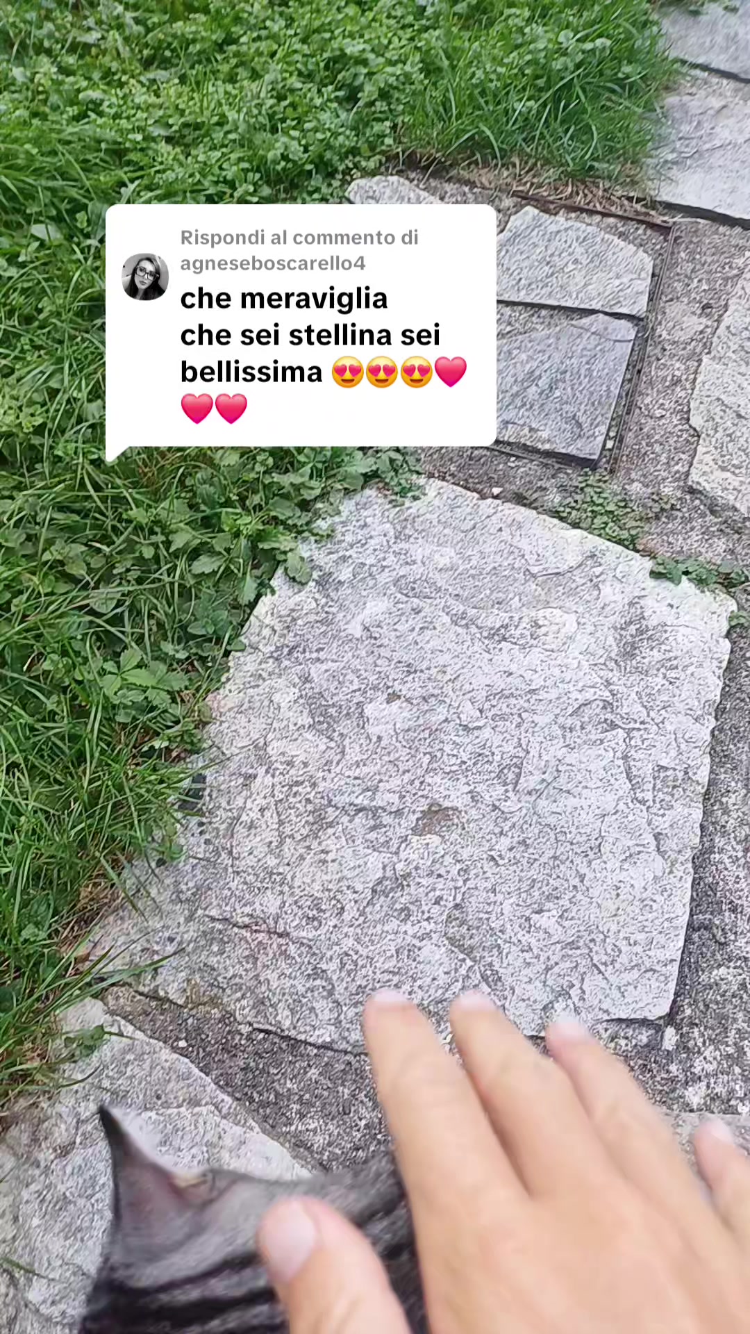 @Stellina